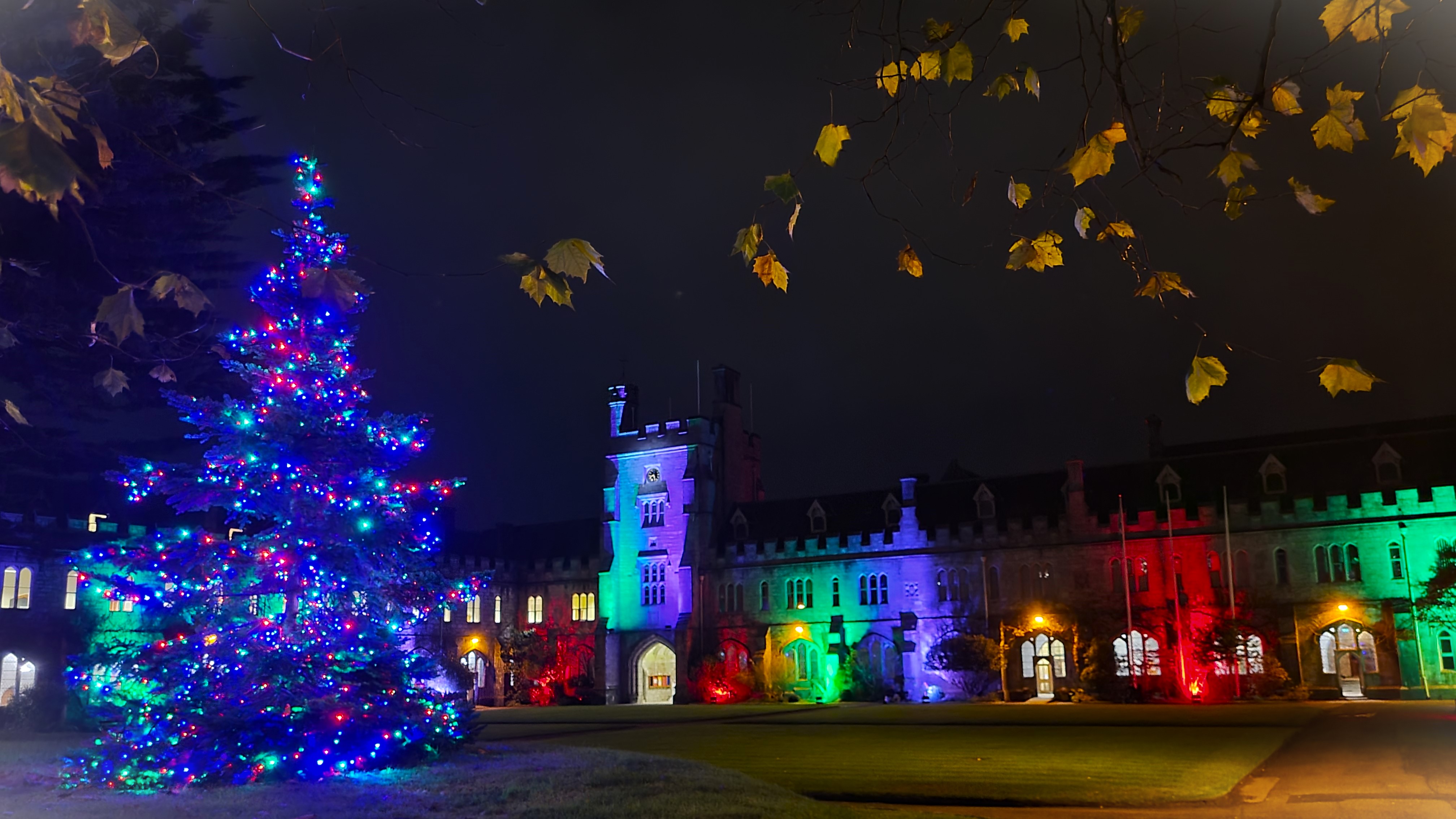 A photograph of UCC at night time. The building walls are lighted up with different colours and
                        there's a big Christmass tree in the middle of the grass.